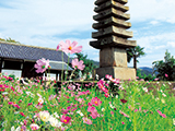 花畫像