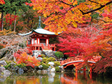 花畫像