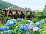 花畫像