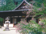 花畫像