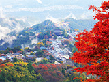 花畫像