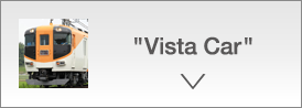 Vista Car