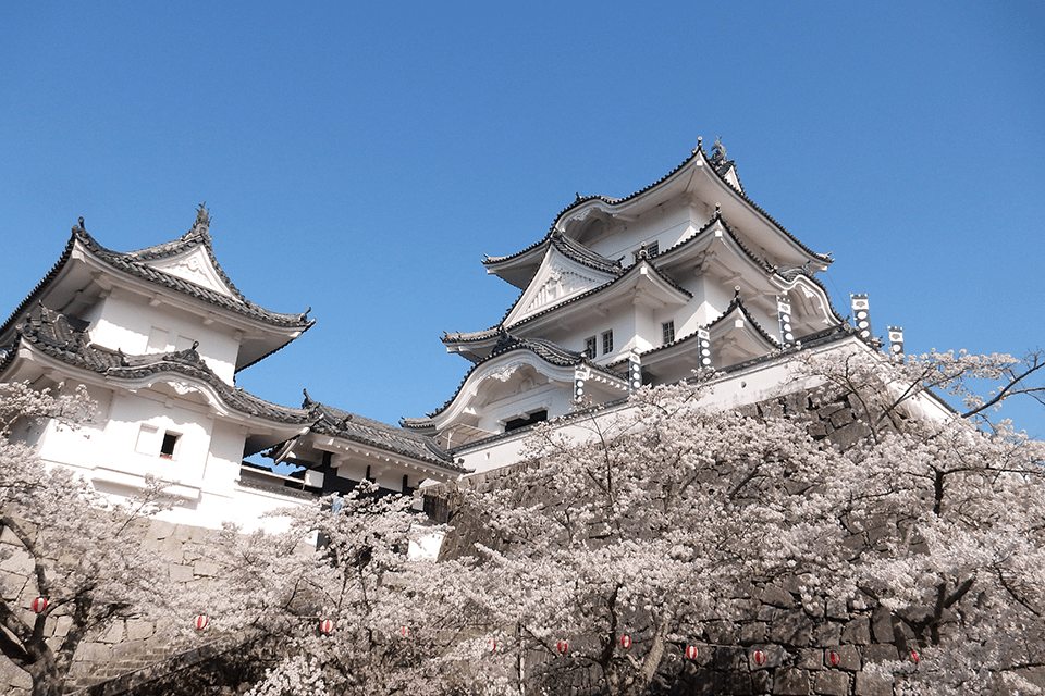 伊賀上野城