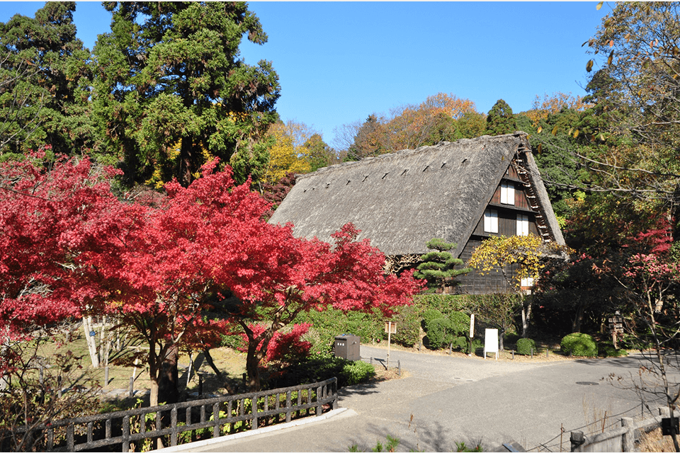 東山動植物園