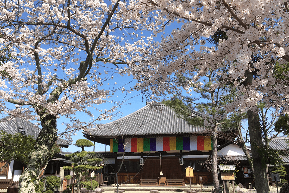 飛鳥寺