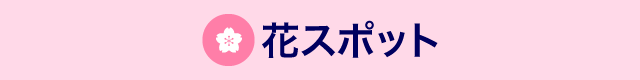 花スポット