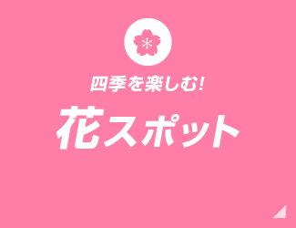 四季を楽しむ！花スポット