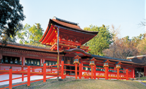 奈良公園周辺
