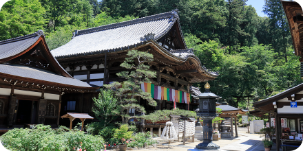 岡寺