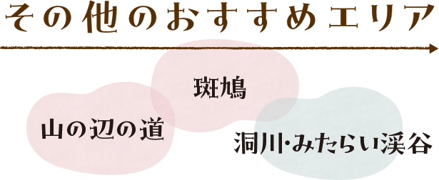 ちょっと足をのばして