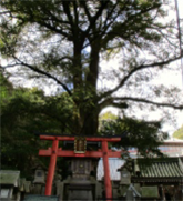 かやの木稲荷