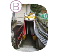 B