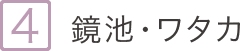 5.鏡池?ワタカ