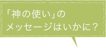 メッセージはいかに