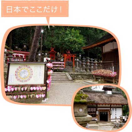 良縁を願う夫婦巖（めおといわ）
