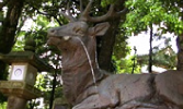 伏鹿手水所（ふせしかのてみずしょ）