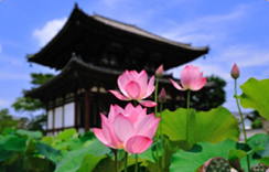 喜光寺