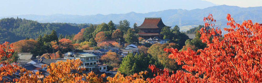 蔵王堂 秋ver.