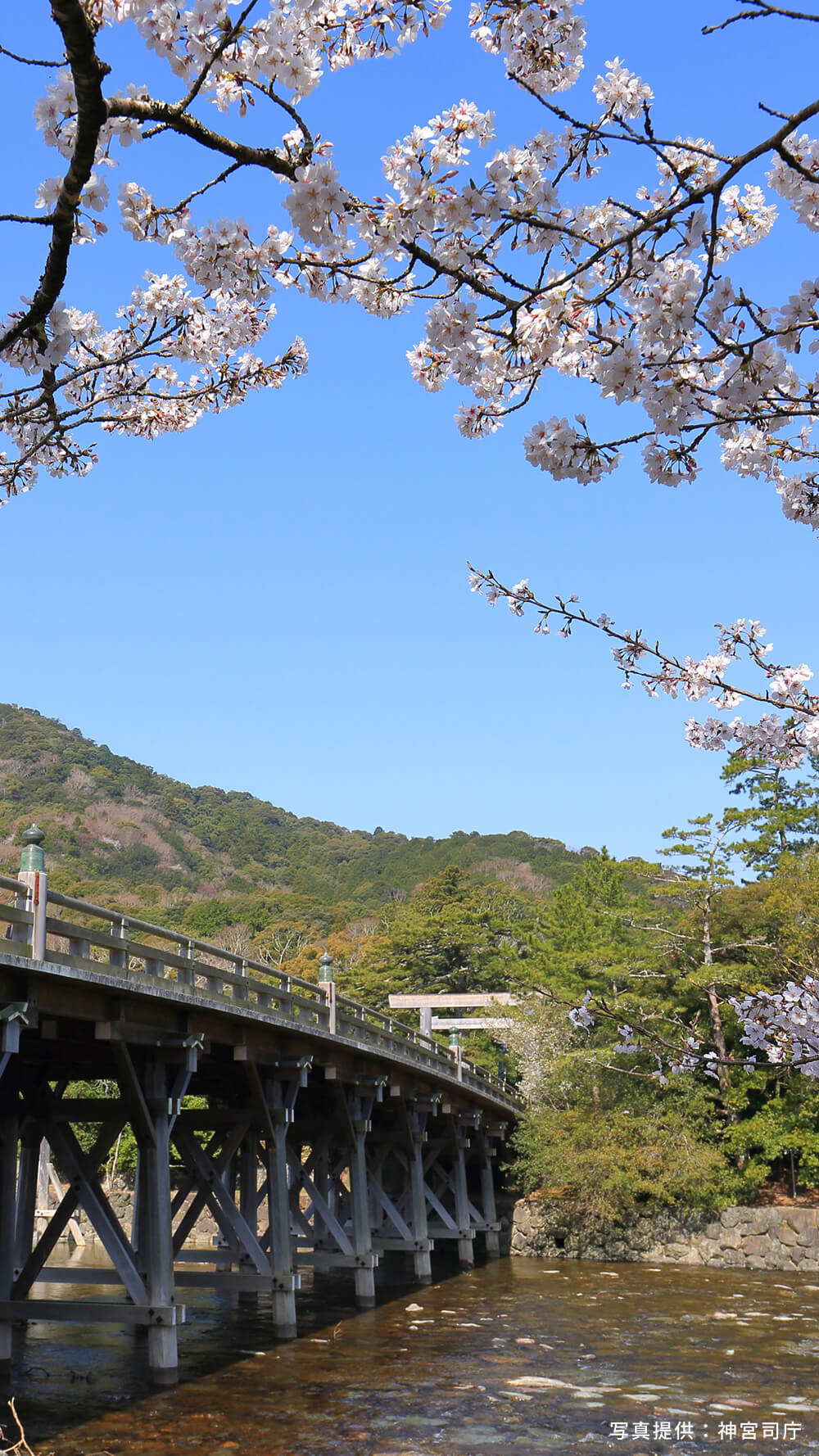 寫真提供：神宮司庁