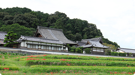 橘寺