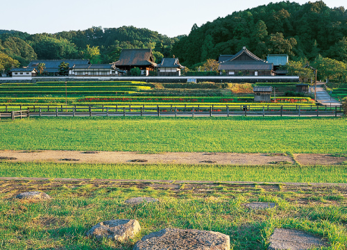 飛鳥コース①（高松塚古墳～石舞臺古墳～岡寺）