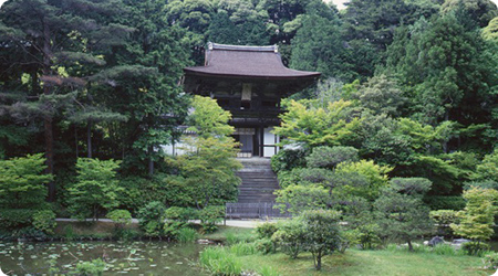 円成寺